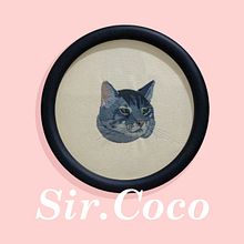 Needle painting: Sir Coco. Un proyecto de Bordado, Ilustración naturalista				 y Diseño textil de Rosa - 03.08.2022