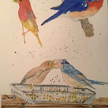 My project for course: Artistic Watercolor Techniques for Illustrating Birds. Un proyecto de Ilustración tradicional, Pintura a la acuarela, Dibujo realista e Ilustración naturalista				 de kgwmd - 02.08.2022