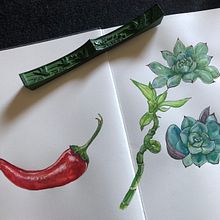 My project for course: Botanical Sketchbooking: A Meditative Approach. Traditional illustration, Sketching, Drawing, Watercolor Painting, Botanical Illustration, and Sketchbook project by Sabine Nimz - 08.04.2022