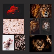 Mi proyecto del curso: Estampado textil con técnicas digitales.. Un progetto di Pattern design, Fashion design e Stampa di Astrid Sánchez - 04.08.2022