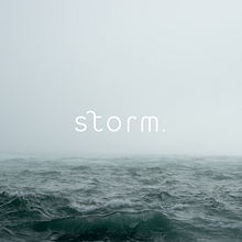 Storm /  Brand Identity. Un projet de Br, ing et identité, Design graphique, T, pographie, Création de logos, Design t , et pographique de Anna Mould - 04.08.2022