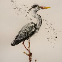 My project for course: Naturalist Bird Illustration with Watercolors. Traditional illustration, Watercolor Painting, Realistic Drawing, and Naturalistic Illustration project by lena_tsch - 08.04.2022