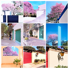 My project for course: Photography with Color: Create a Cinematic Look. Outdoor Photograph, Instagram Photograph, Photographic Composition, and Color Theor project by Mabel Avila - 08.03.2022
