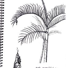 My project for course: Drawing for Beginners Level -1. Projekt z dziedziny R, sunek ołówkiem,  R, sunek i Sketchbook użytkownika apinya_amn - 03.08.2022