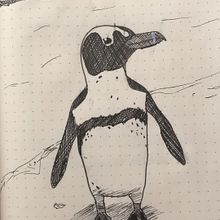 Mein Kursprojekt: Tägliches Sketching für kreative Inspiration . % Lia tarafından hazırlanan Geleneksel illüstras, on, Eskiz çizimi, Yaratıcılık, Çizim, Ve Eskiz defteri projesi - 08.06.2022