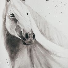 Il mio progetto del corso: Ritratti espressivi di animali ad acquerello Ein Projekt aus dem Bereich Traditionelle Illustration, Aquarellmalerei, Realistische Zeichnung und Naturalistische Illustration von benellialessia - 06.08.2022
