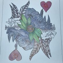 Mi proyecto del curso: Ilustración naturalista con bolígrafo. Ilustração tradicional, Desenho, Desenho realista e Ilustração naturalista projeto de Nieves Richard - 07.08.2022