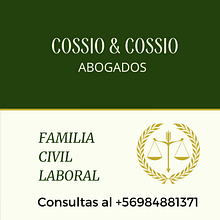 Mi proyecto del curso: Copywriting: principios de la redacción publicitaria . Advertising, Marketing, Cop, writing, Creativit, and Content Writing project by susanacossiof - 08.08.2022
