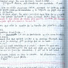 Alicia, la piñata y una serie de problemas. Writing project by JUANA INÉS DEHESA - 10.09.2009