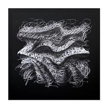 “Spaghetti”  Ein Projekt aus dem Bereich Kalligrafie von Nicoló Visioli - 18.11.2020