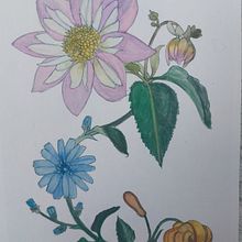 My project for course: Realistic Watercolor for Botanical Compositions. Traditional illustration, Painting, Drawing, Watercolor Painting, and Botanical Illustration project by Madalina Mihai - 08.09.2022