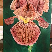 Iris. Un progetto di Ricamo, Pittura ad acquerello e Illustrazione con inchiostro di Sandra Peers - 06.08.2022