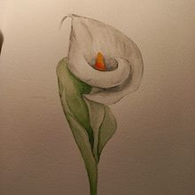 Mis Dibujos . Ilustrație tradițională de Maria Ancillotti - 08.09.2022