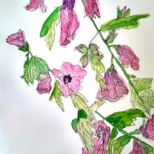 My project for course: Urban Sketching: Capture Your City in Motion. Projekt z dziedziny Trad, c, jna ilustracja, Sketching,  R, sunek, Sketchbook, Ilustracja naturalist, czna, R i sunek botaniczn użytkownika Beant Kaur Dhillon - 10.08.2022