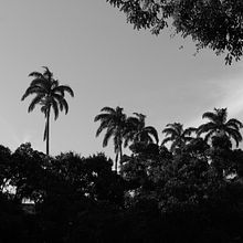 Uma tarde de domingo . Fotografie și Fotografie digitală de Rodrigo do Nascimento Adão - 07.25.2022