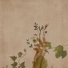 Primeiro de Agosto . Traditional illustration project by cgoncalvesg - 08.11.2022