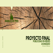 Proyecto Final Publicidad en Redes Avanzado. Marketing, Advertising, and Facebook Marketing project by Octavio Blanco - 08.11.2022