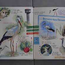 Mon projet du cours : Carnet de voyage illustré avec des techniques mixtes. Drawing, Watercolor Painting, Sketchbook, and Colored Pencil Drawing project by Patricia PICCO - 08.12.2022
