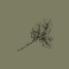 Mein Kursprojekt: Botanische Illustration: vom Skizzenbuch zum Druck. Traditional illustration, Sketching, Drawing, Botanical Illustration, Sketchbook & Ink Illustration project by herzteddy1 - 08.12.2022