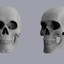 human skull Ein Projekt aus dem Bereich Design, 3D und Anatomische Zeichnung von sabicogu - 13.08.2022