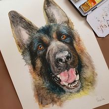 Meu projeto do curso: Retratos expressivos de animais em aquarela. Ilustração tradicional, Pintura em aquarela, Desenho realista e Ilustração naturalista projeto de Priscila Preidt - 09.08.2022