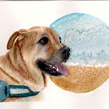 Mi proyecto del curso: Retratos expresivos de animales en acuarela. Traditional illustration, Watercolor Painting, Realistic Drawing, and Naturalistic Illustration project by mei_ml - 08.01.2022