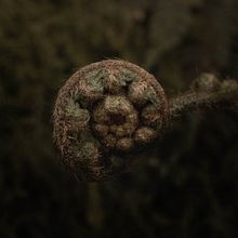 Mi proyecto del curso: Fotografía de paisaje y naturaleza. Projekt z dziedziny Fotografia,  Fotografia plenerowa, Fotografia na Instagram, Fotografia dokumentalna,  Kompoz i cja w fotografii użytkownika Espe - 15.08.2022