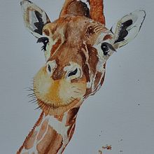 Mi proyecto del curso: Retratos expresivos de animales en acuarela Ein Projekt aus dem Bereich Traditionelle Illustration, Aquarellmalerei, Realistische Zeichnung und Naturalistische Illustration von Cristhian Rojas Granados - 12.08.2022