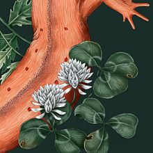 My project for Jessica Roux's Natural Illustration with Digital Painting. Traditional illustration, Drawing, Digital Illustration, Realistic Drawing, Digital Painting, and Naturalistic Illustration project by Audrey Lauriston - 08.27.2022