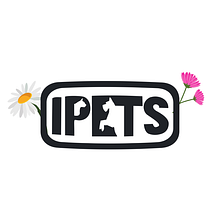 Mi proyecto del curso: Google Ads y Facebook Ads desde cero. Un proyecto de Marketing, Redes Sociales, Marketing Digital, Mobile marketing, Instagram, Marketing para Facebook, Marketing para Instagram y Growth Marketing de Nicolas Stamatti - 20.12.2021