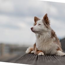 Mein Kursprojekt: Farbenlehre in der Fotografie. Projekt z dziedziny Fotografia, Retuszowanie fotografii, Fotografia c, frowa,  Kompoz, cja w fotografii i Teoria barw użytkownika juliahaberichter - 17.08.2022