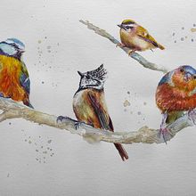My project for course: Artistic Watercolor Techniques for Illustrating Birds. Traditional illustration, Watercolor Painting, Realistic Drawing, and Naturalistic Illustration project by Ingrid Fürhacker - 08.17.2022