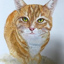 My project for course: Expressive Animal Portraits in Watercolor. Projekt z dziedziny Trad, c, jna ilustracja, Malowanie akwarelą, R, sunek realist, czn, Ilustracja naturalist i czna użytkownika Anne Bailey - 28.09.2023