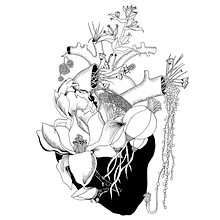 Otro corazón . Projekt z dziedziny Trad, c i jna ilustracja użytkownika Mariana Castillo - 05.05.2017