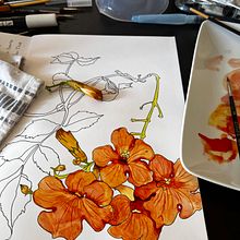 Mon projet du cours : Carnet de croquis botanique : une approche méditative. Un progetto di Illustrazione tradizionale, Bozzetti, Disegno, Pittura ad acquerello, Illustrazione botanica e Sketchbook di Julie Blanloeuil Neri - 18.08.2022