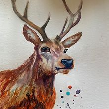 My project for course: Expressive Animal Portraits in Watercolor. Traditional illustration, Watercolor Painting, Realistic Drawing, and Naturalistic Illustration project by herringa05 - 08.18.2022