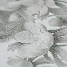 Winter Aconite Portrait. Un projet de Dessin au cra, on, Dessin, Dessin artistique et Illustration naturaliste de Lena - 19.08.2022