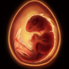 Inside the egg. Un progetto di Illustrazione tradizionale e Character design di Judith Vidal - 19.08.2022