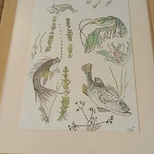 Art for selling . Traditional illustration project by Judy James - 08.20.2022
