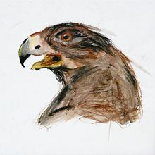 diversity of my work. Traditional illustration, and Photograph project by Nanna Spakler - 08.20.2022