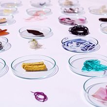Biomateriales: Oda al error. Un progetto di Design di Loana Flores - 22.08.2022