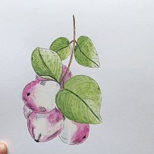 Mon projet du cours : Représentation de la nature à l'aquarelle et au stylo. Un proyecto de Bellas Artes, Pintura, Dibujo, Ilustración botánica, Pintura a la acuarela e Ilustración tradicional de Karine LaSalle - 22.08.2022