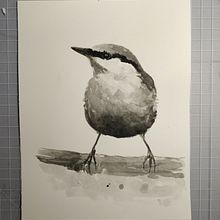 My project for course: Artistic Watercolor Techniques for Illustrating Birds . % barbarazanelli tarafından hazırlanan Geleneksel illüstras, on, Sulubo, a Resim, Gerçekçi Çizim, Doğalcı İllüstras, Ve on projesi - 08.13.2022