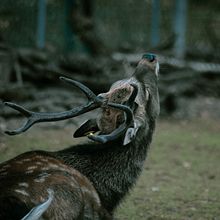 Mi proyecto del curso: Fotografía de paisaje y naturaleza. Projekt z dziedziny Fotografia,  Fotografia plenerowa, Fotografia na Instagram, Fotografia dokumentalna,  Kompoz i cja w fotografii użytkownika Núria Torrent Calderón - 24.08.2022