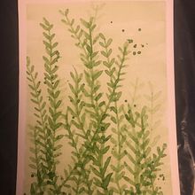 Mi proyecto del curso: Técnicas modernas de acuarela. Traditional illustration, Fine Arts, Painting, and Watercolor Painting project by dificilymas - 08.25.2022