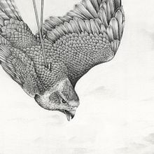 A Eulogy for Animals lost - Drawings for an exhibition about wildlife trafficking. Un proyecto de Ilustración tradicional, Dibujo a lápiz, Dibujo, Dibujo realista, Dibujo artístico, Ilustración naturalista				 y Bellas Artes de Amy Dover - 24.08.2022