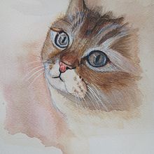 My project for course: Expressive Animal Portraits in Watercolor. Un progetto di Illustrazione tradizionale, Pittura ad acquerello, Disegno realistico e Illustrazione naturalistica di Sameera Vurity - 21.08.2022