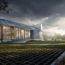 Martha Shiller's Vineyard. Un proyecto de Arquitectura y Matte Painting de Fabio Santoro - 26.08.2022