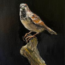 My project for course: Classical Oil Painting for Naturalist Bird Portraiture. Un proyecto de Bellas Artes, Pintura, Pintura al óleo e Ilustración naturalista				 de a.k.soe - 26.08.2022