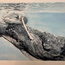 My project for course: Naturalist Illustration Techniques: Whales in Watercolor. Traditional illustration, Poster Design, Digital Illustration, and Manga project by Barb O - 08.26.2022
